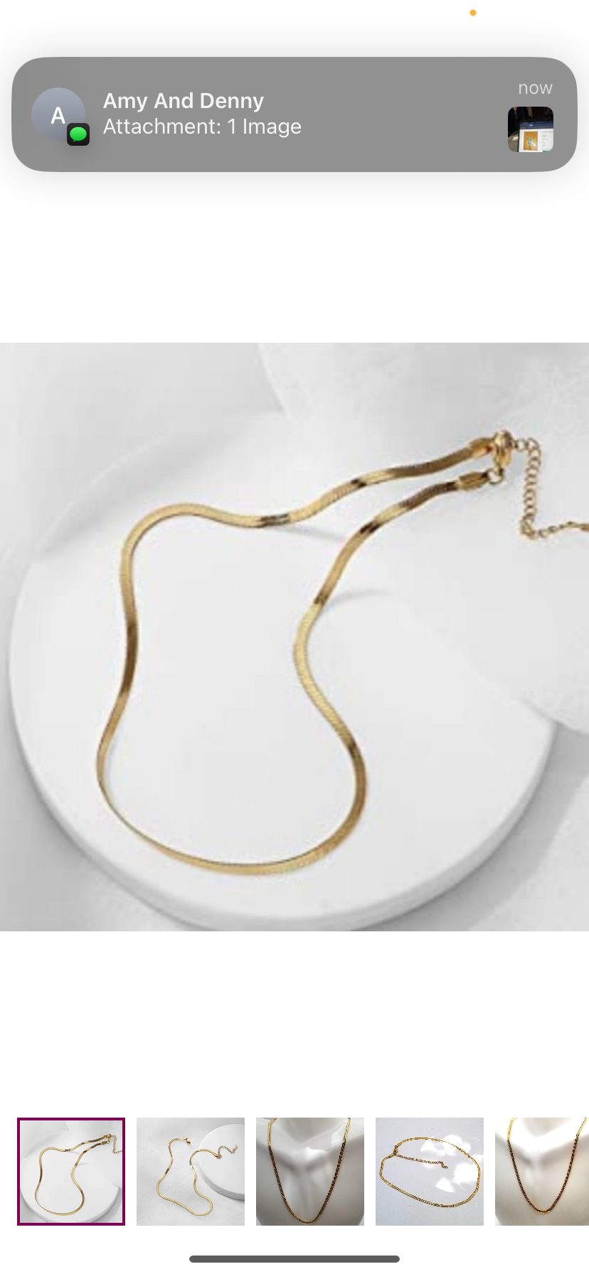 Gold Herringbone Chain Necklace - NWT