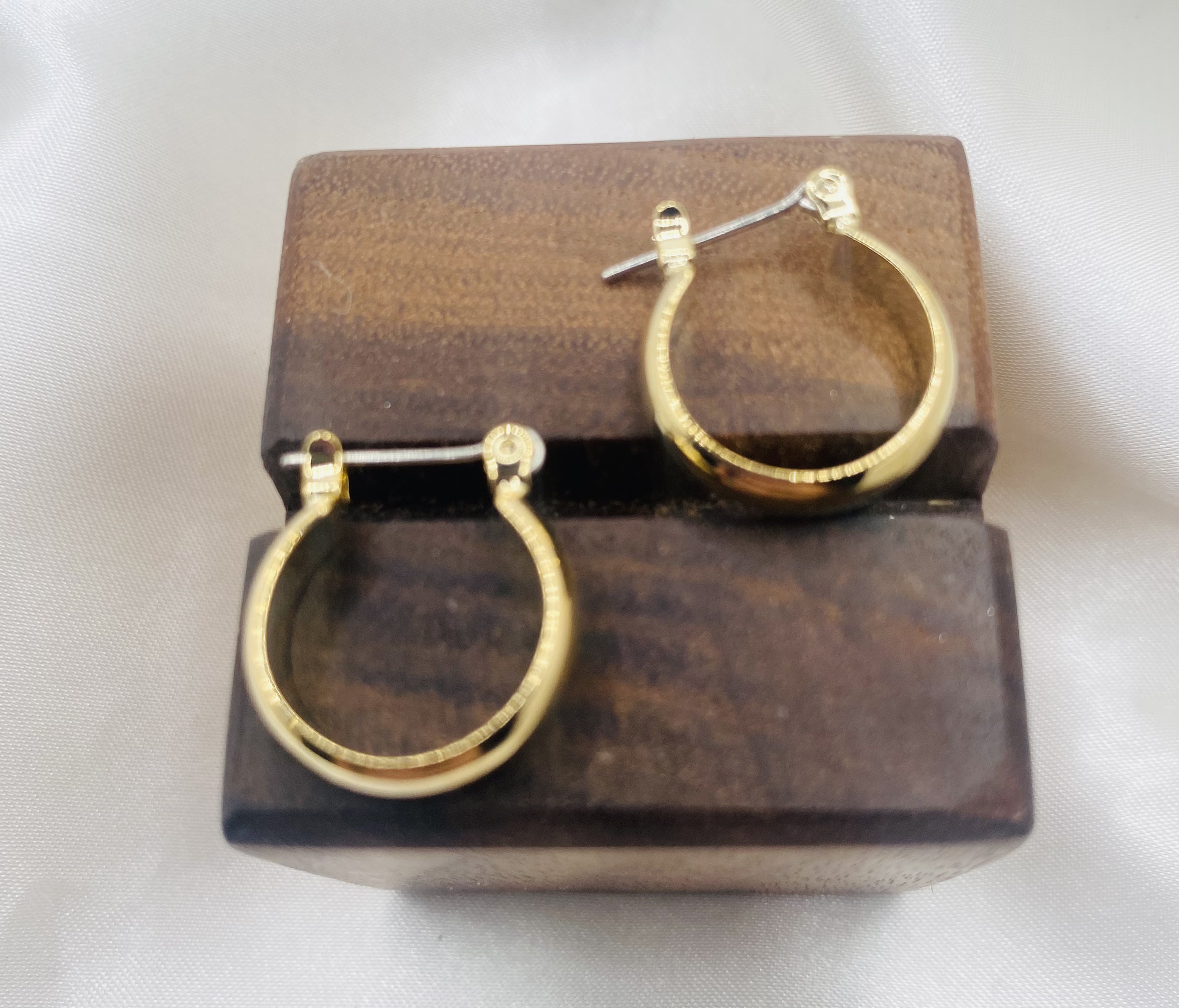 Gold Hoop Earrings - NWT