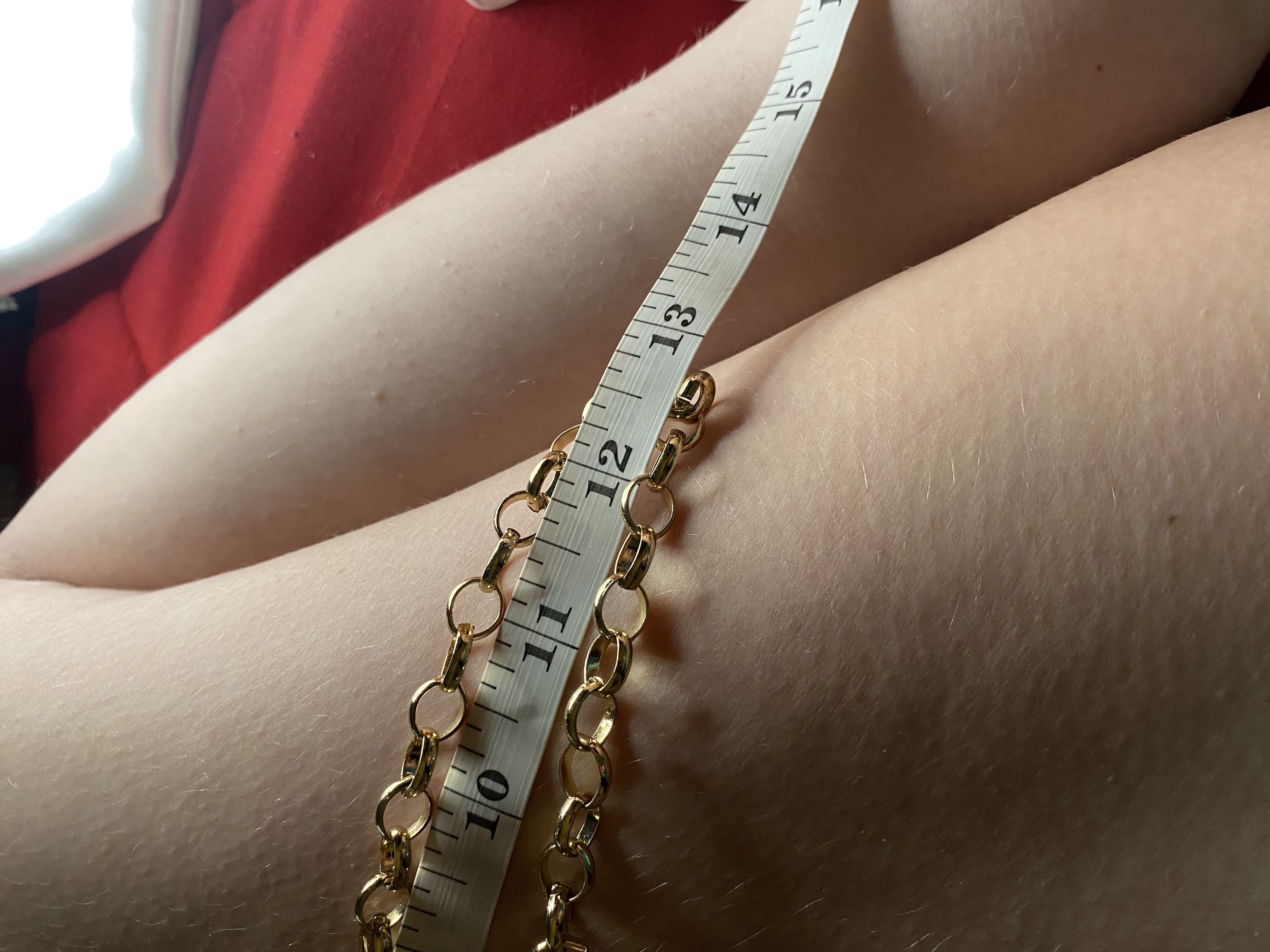 Image 5 for Charming Charlie Gold Chain Necklace NWT